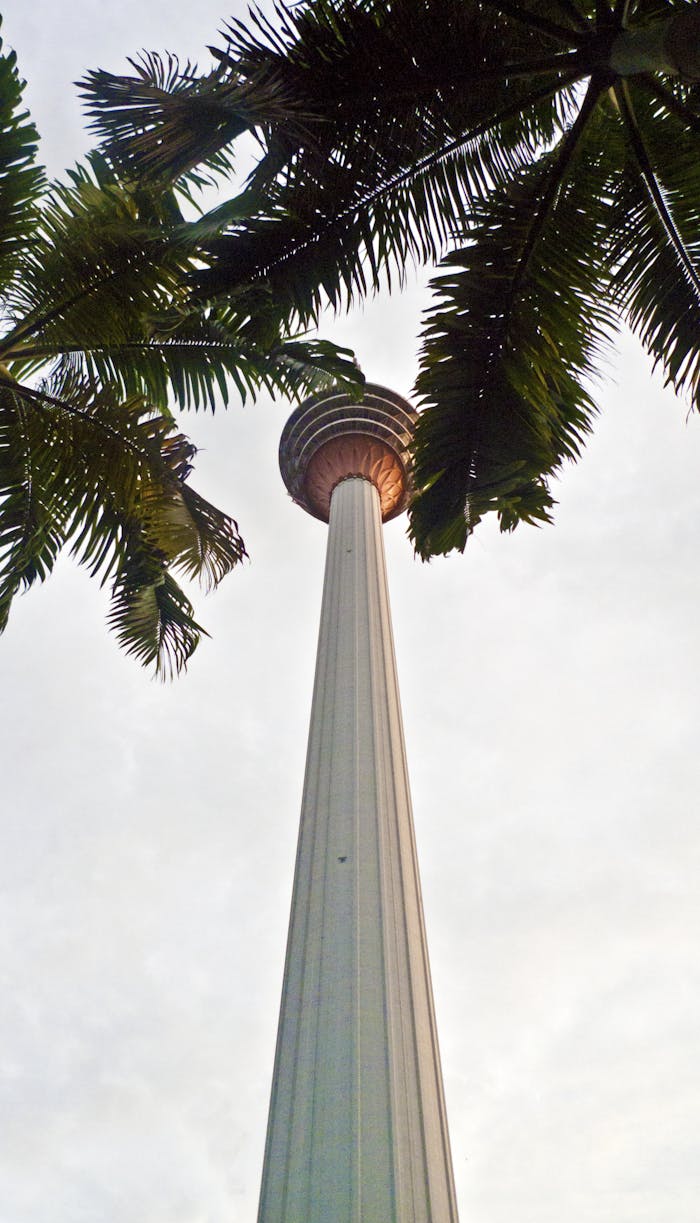 KL Tower framed by palm trees from a unique perspective, capturing its architectural beauty.
